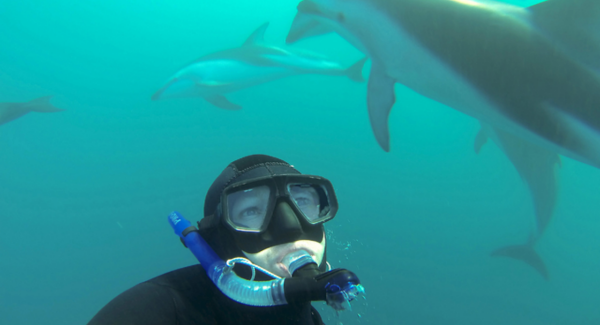 Swimmer underwater with dolphin