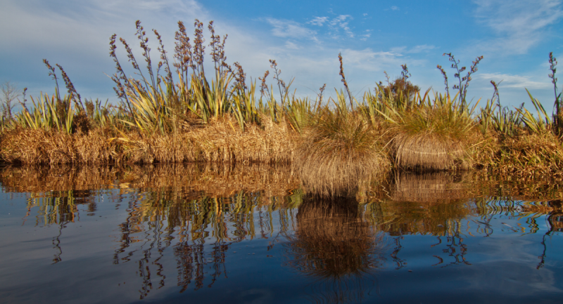 Sinclair Wetlands Tukiauau's Campsite