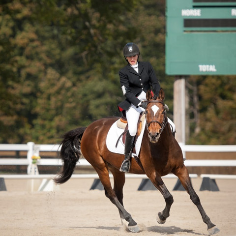 iStock 623764886 equestrian11