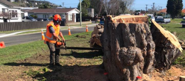 A staff member from Rivercity Tree Services uses a chainsaw to help clear a large tree trunk