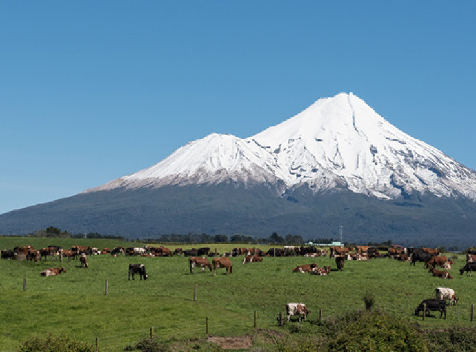 Taranaki