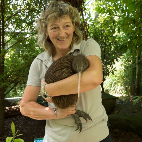Claire Travers holding kiwi