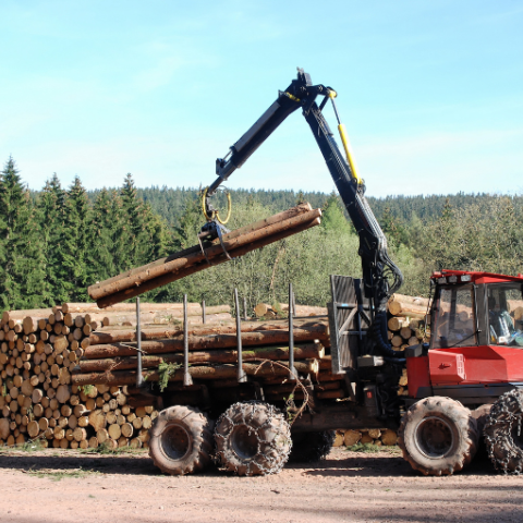 forestry
