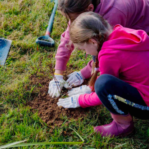 girl planting tree