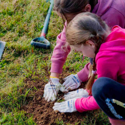 Girl planting tree