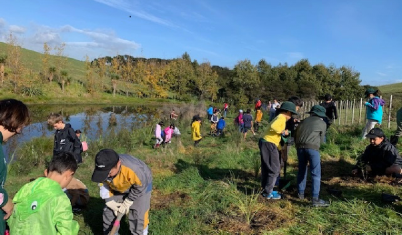 Point View School students planting trees 