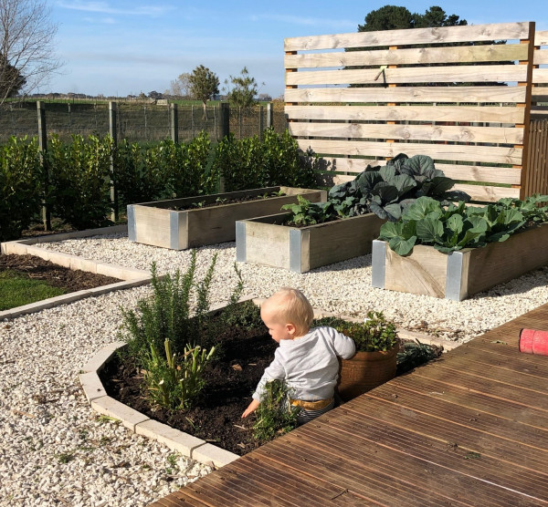 Baby playing in garden at Toni Horrell's lifestyle block