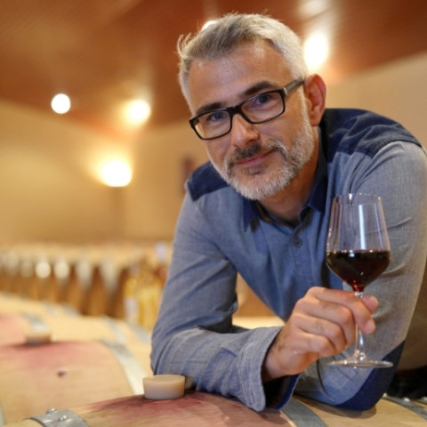 winesure image